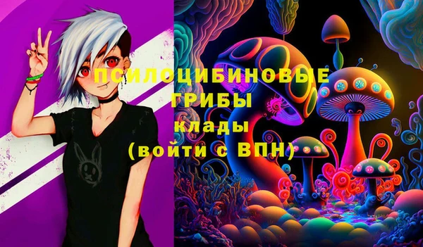 каннабис Аркадак